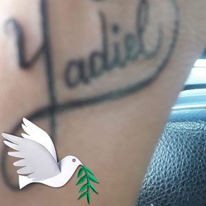 Meet your Posher, La gordita